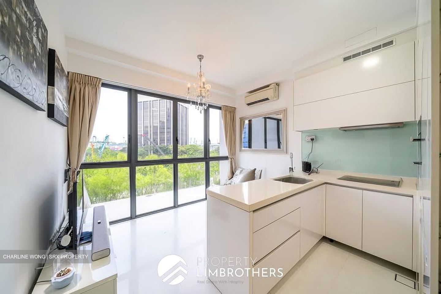 Onze @ Tanjong Pagar (D2), Apartment #539343071